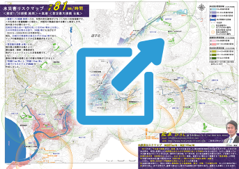 水災害リスクマップ 雨量81mm/h